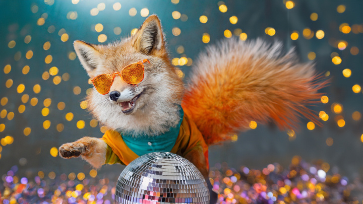 Discofox